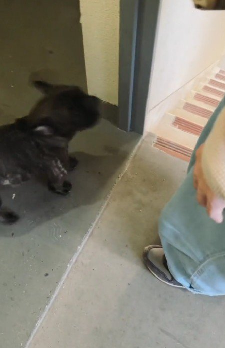 「抱っこして～」