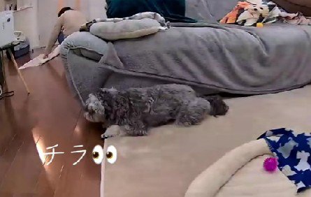 子どもみたいにチラ見♡