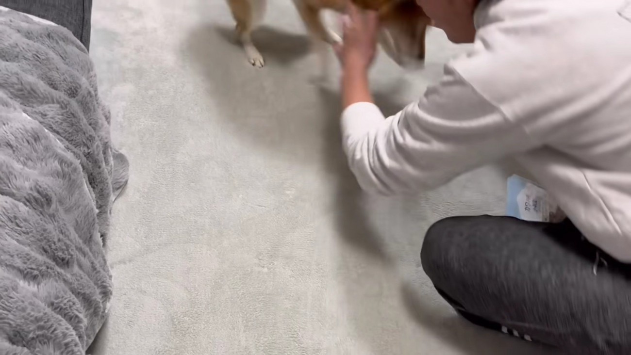 逃げ足が速くて失敗