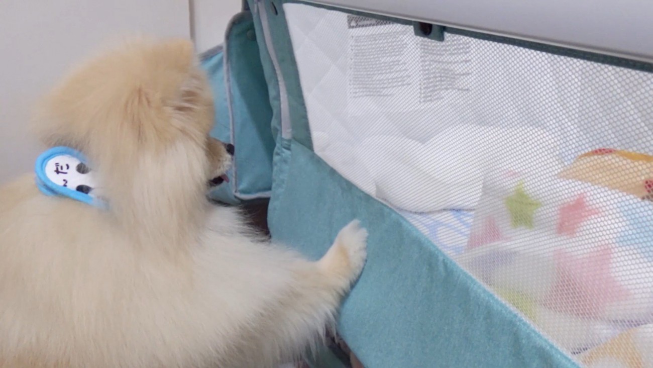 赤ちゃんがベッドから離れても…