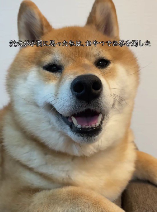 笑顔に戻った♡