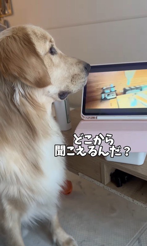 困惑する麹くん6