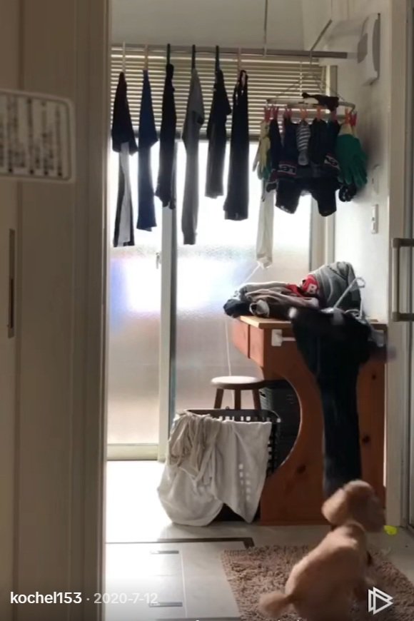 ズボンを引っ張るりゅっくちゃん