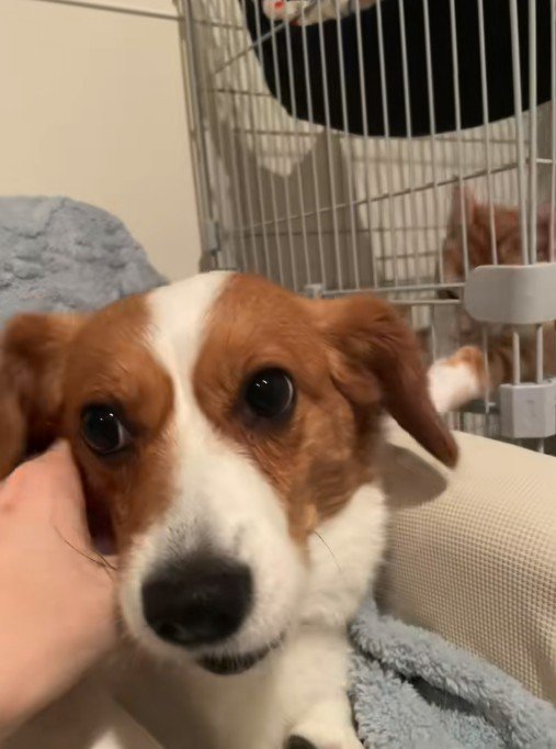 やっぱり被害者面（笑）