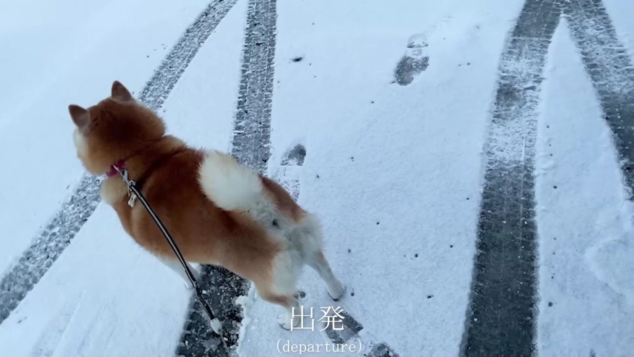 お母さんのお迎え