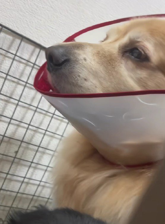 さらに後ろにバルドちゃんが！！