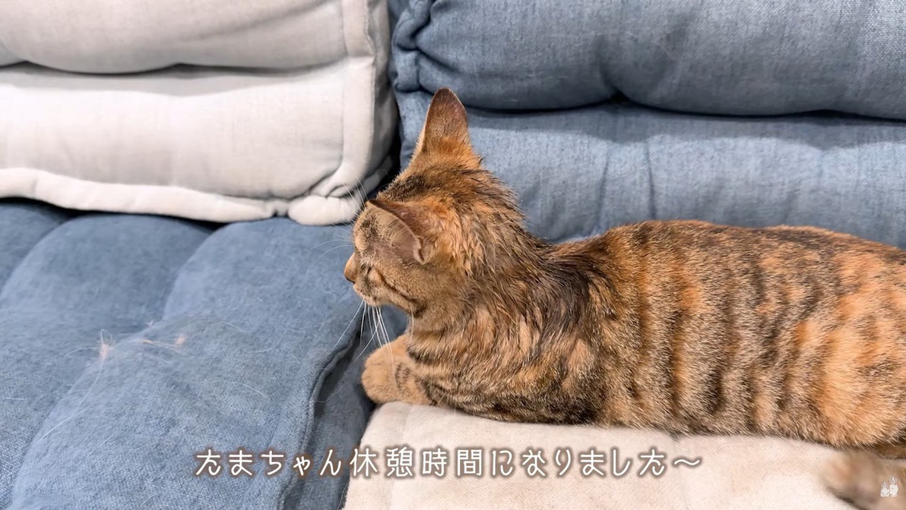 眠くてウトウト…