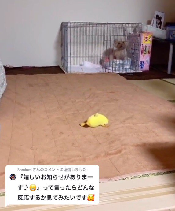 「とりあえず、ここで聞くけどさ…」