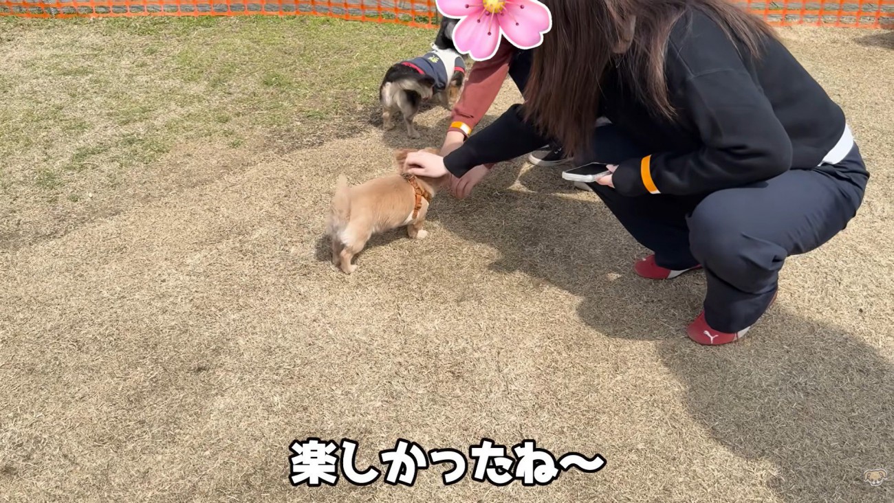 撫でてもらえました♡