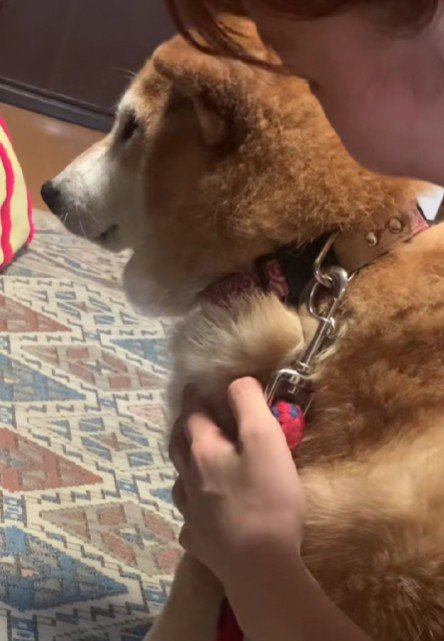 「今はやめとく…」