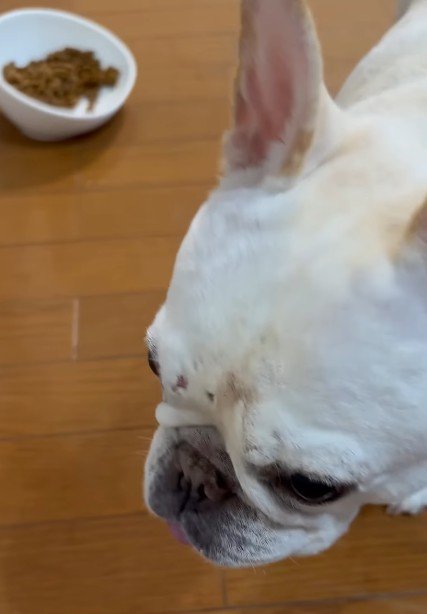 「ご飯の残りは！？」