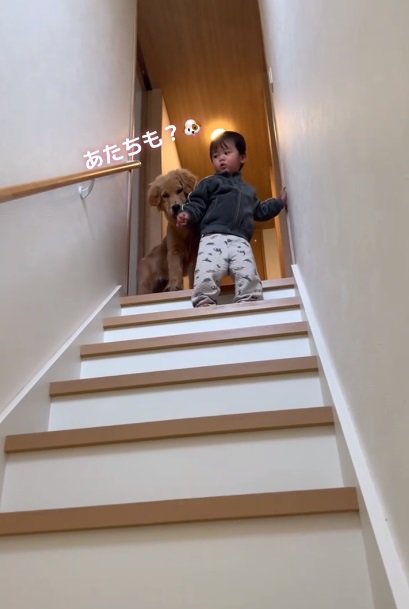 ママを見るころもちゃん