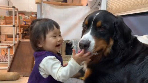 ダンロくんとの思い出