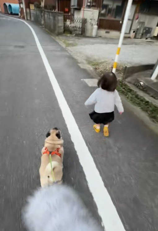 一緒にお散歩中♪
