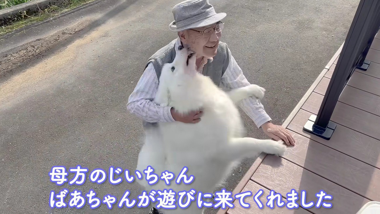 祖父母がやってきた