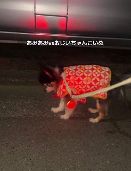 あみあみの前で立ち止まった