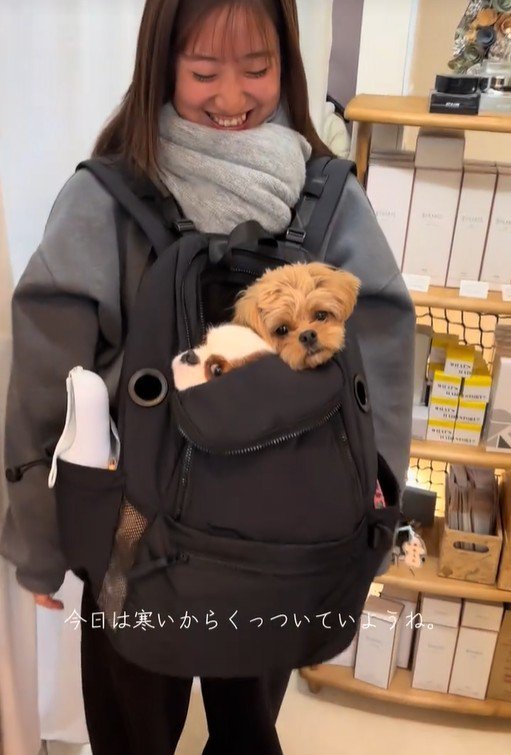 一緒にリュックに入る2匹