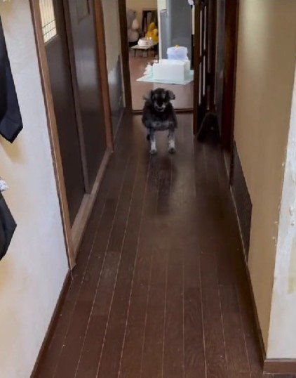 再会のとき！！