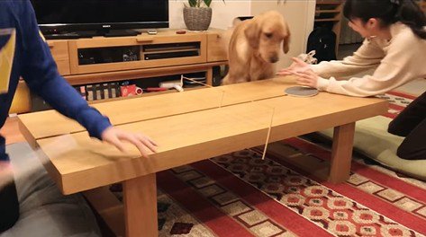 卓球をした時のビスコくん5