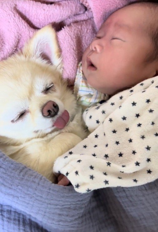 別の日も一緒に寝ている2人
