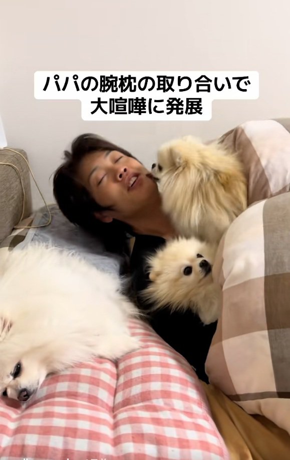 絶対よけないマリンちゃん