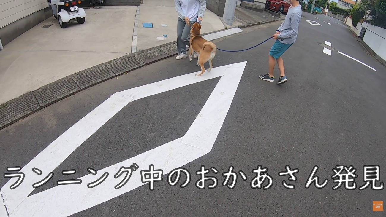 散歩中にお母さんに会った時のワンジローくん5