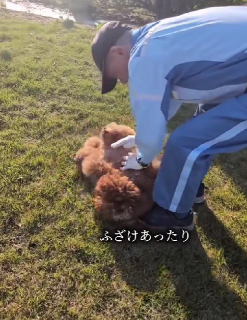 一緒にじゃれあったり…