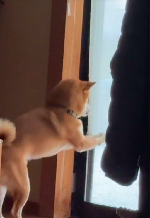 リクくんにハプニング発生4