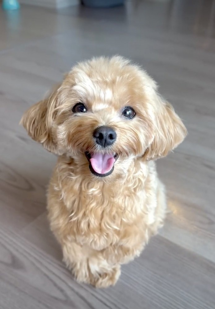 ずっと元気いっぱいで過ごそうね