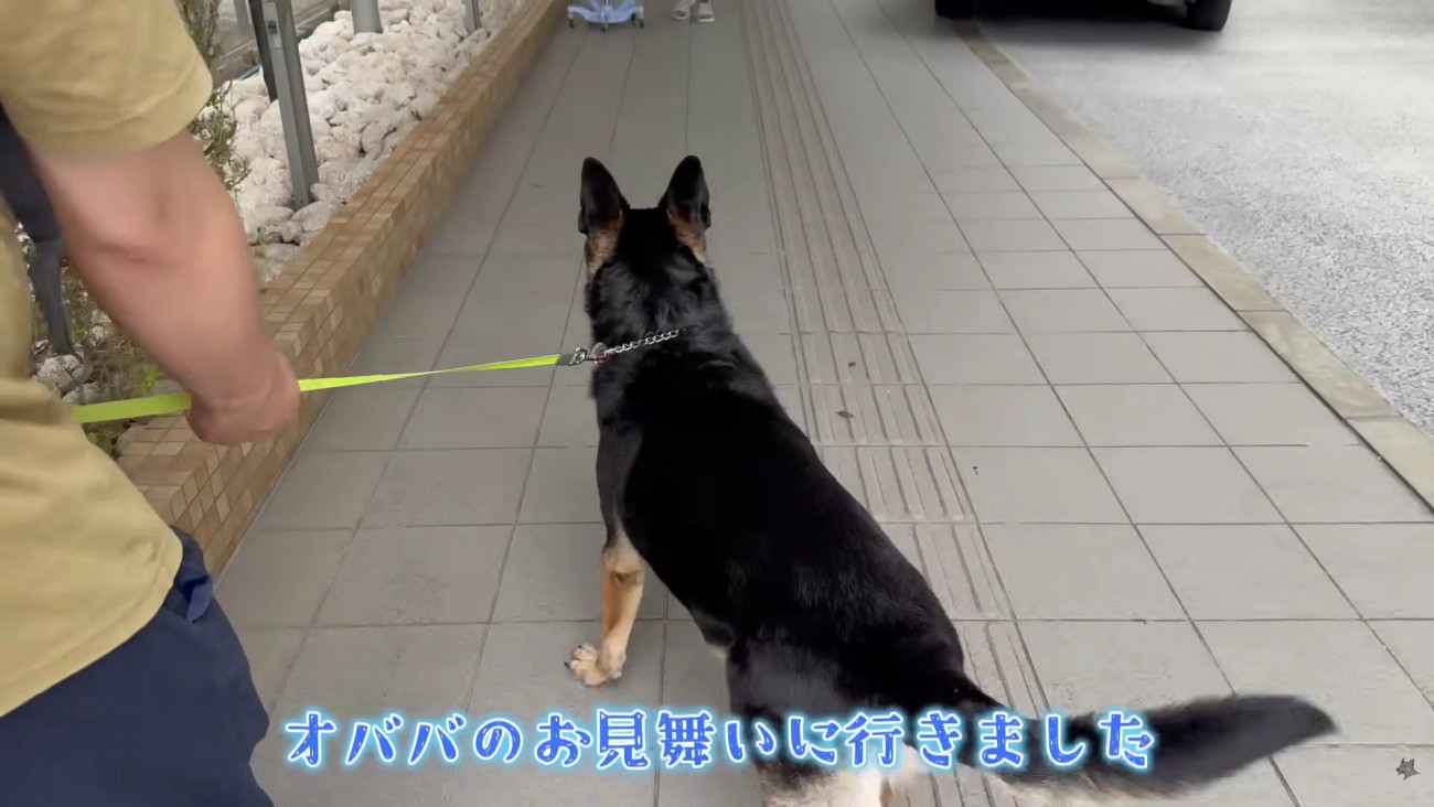 おばあちゃんを見た瞬間…