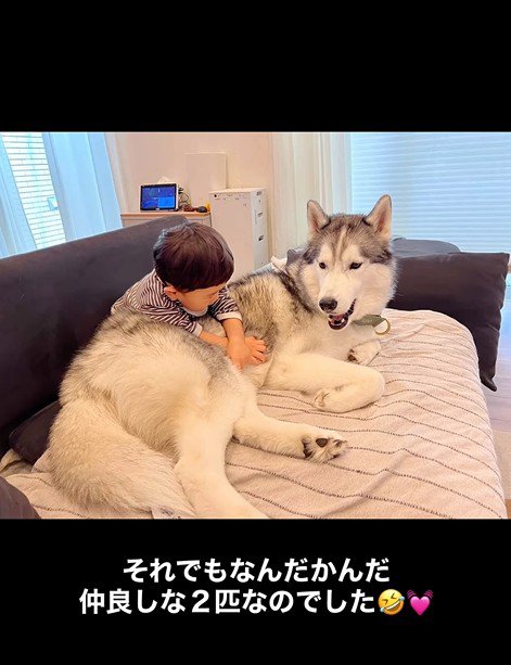 ママを取り合う星凪くん＆男の子7