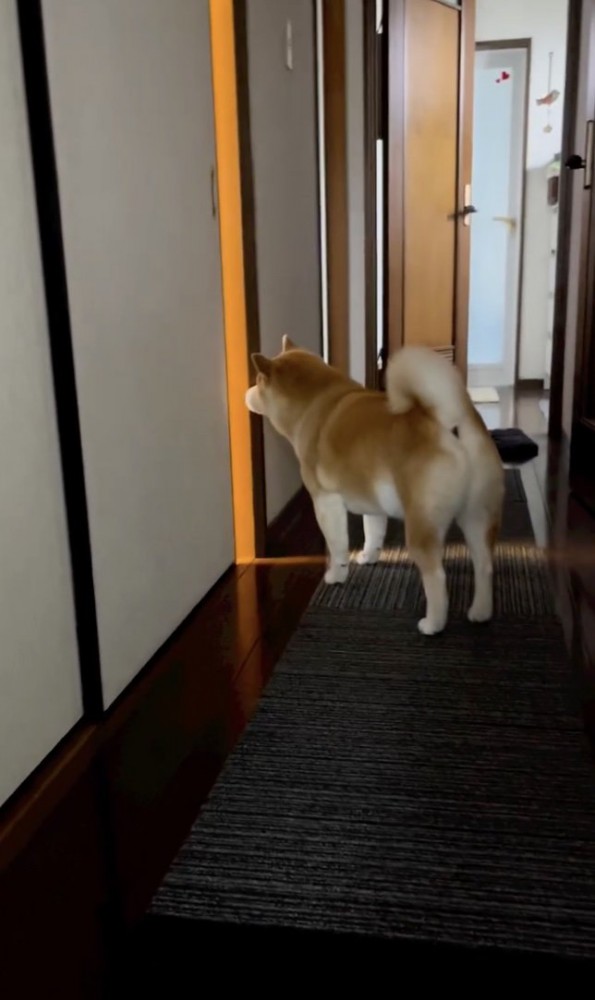 「ないてる…」