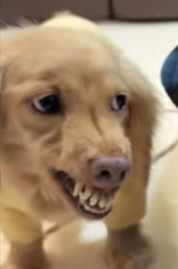 まさかのブチギレ！？