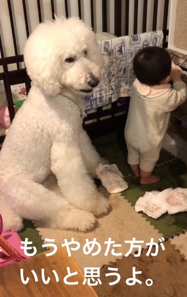 微笑ましい2人のやり取り