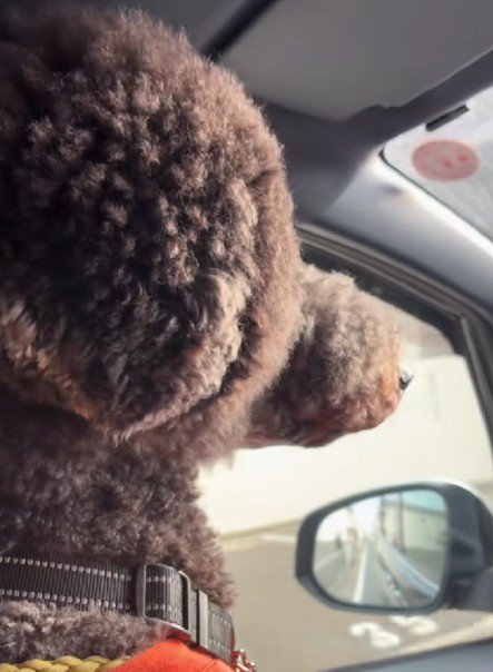 窓の外をキョロキョロ