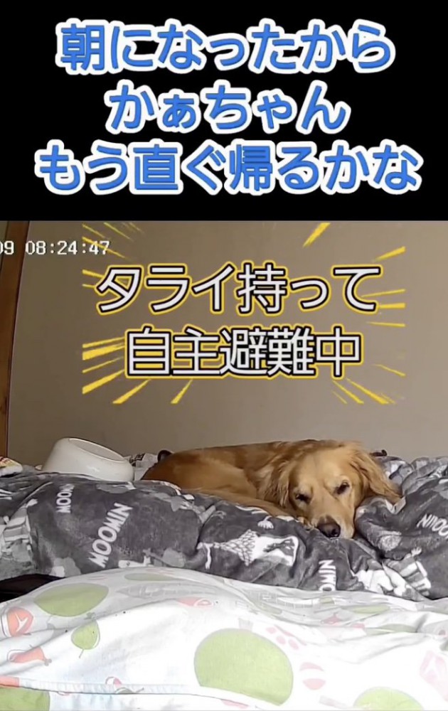 「まだかな…」