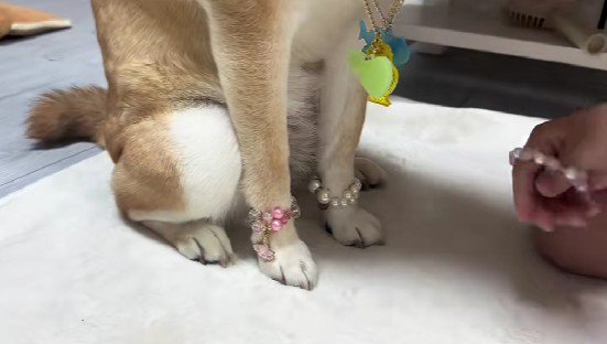 キラキラ可愛い手元に