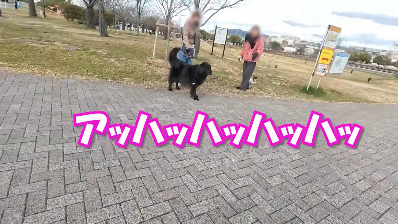 2匹の姿を見て女性たちが爆笑！