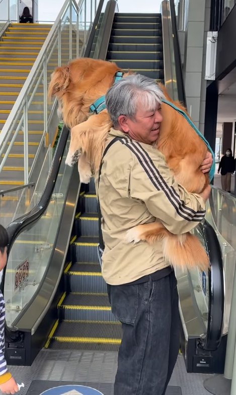 大型犬を抱っこする投稿主