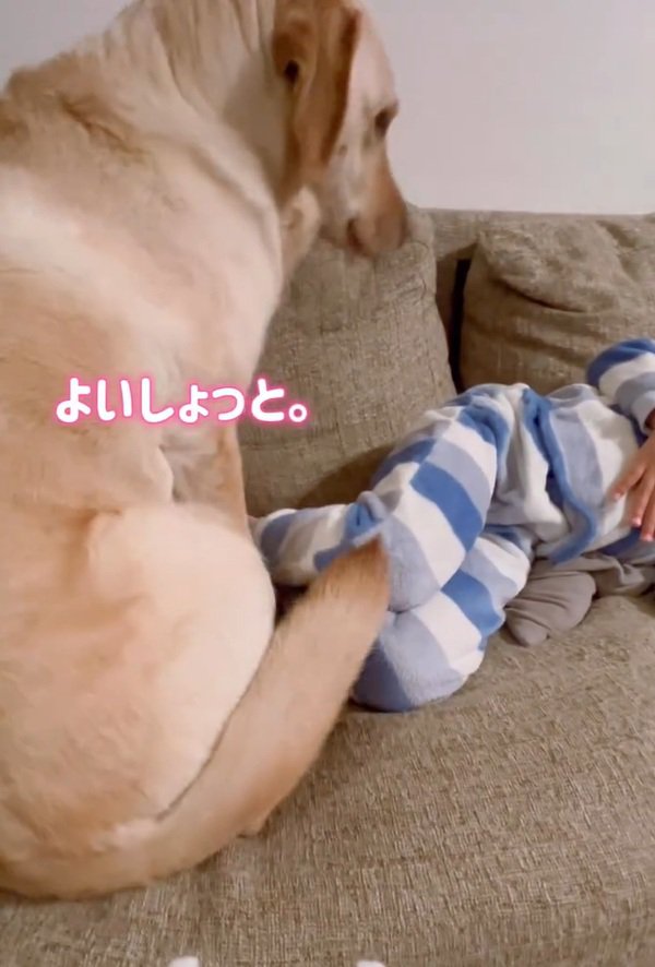 腰を下ろすダッフィーちゃん