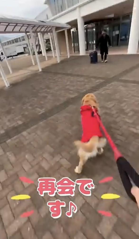 男性に向かって駆け出す犬