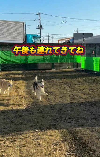 アークちゃんの笑顔が一番の幸せ