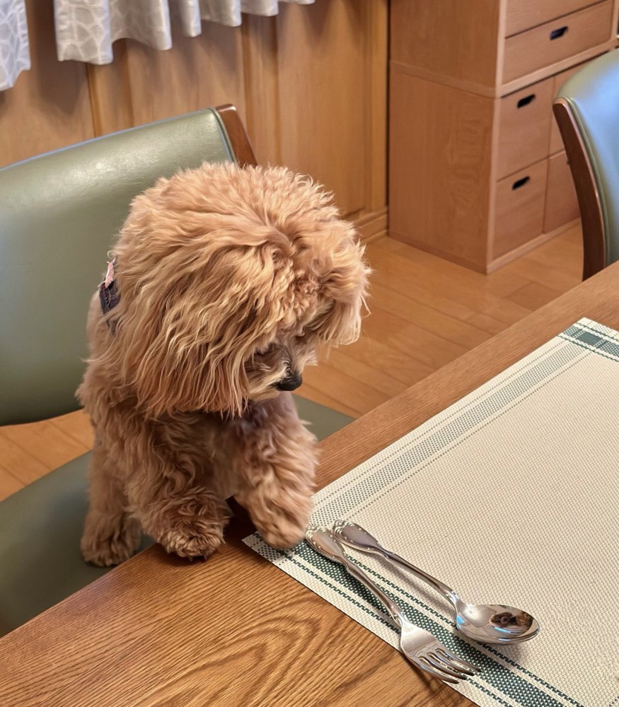 テーブルに前足を添える犬