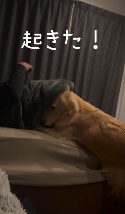 ママの声で目覚めた！！