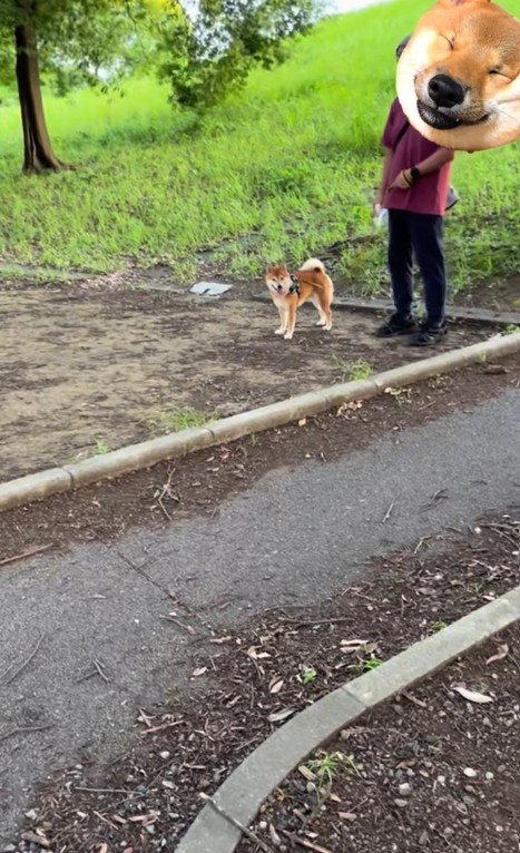 ドッキリに対する福ちゃんの反応4