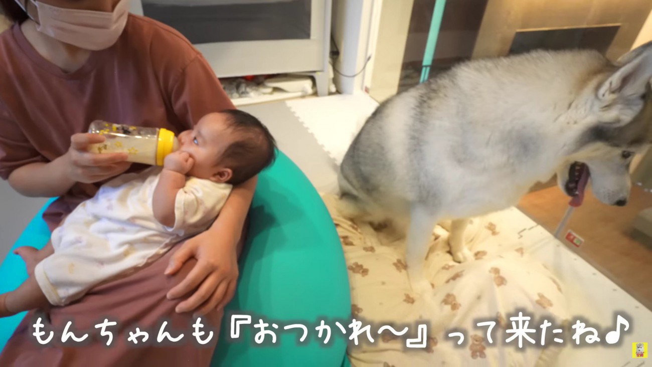 最後まで見守ったもんちゃん♡