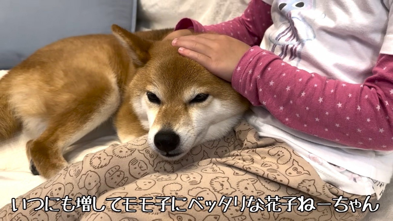 心配してくれています