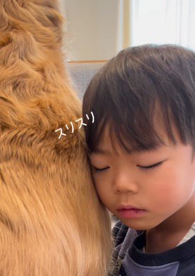 目を閉じたまま犬に頬ずりする男の子