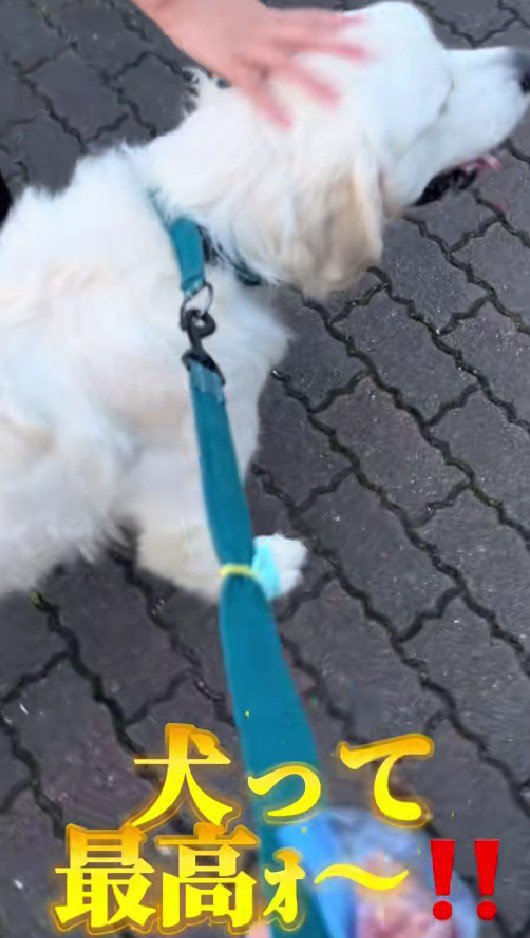 大満足な表情にクスッ