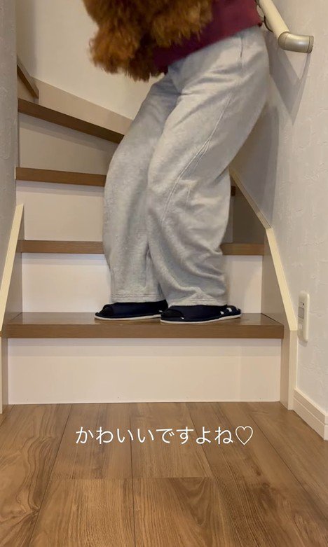 一緒に上の階へ